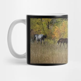 Wild Horse Foal Mug